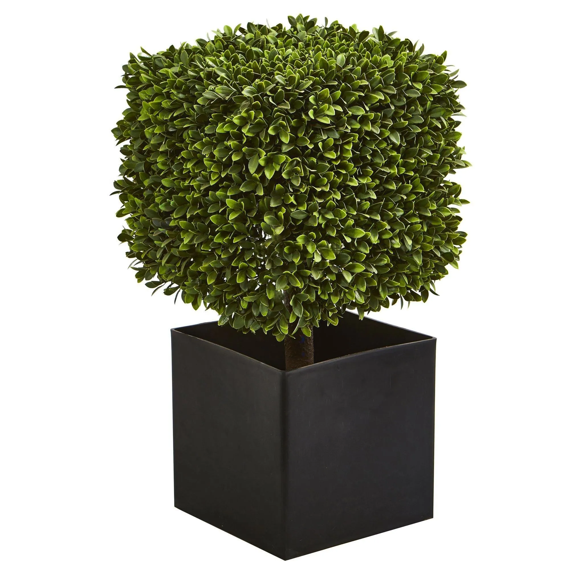 27” Boxwood Artificial Plant in Black Planter (indoor/Outdoor)