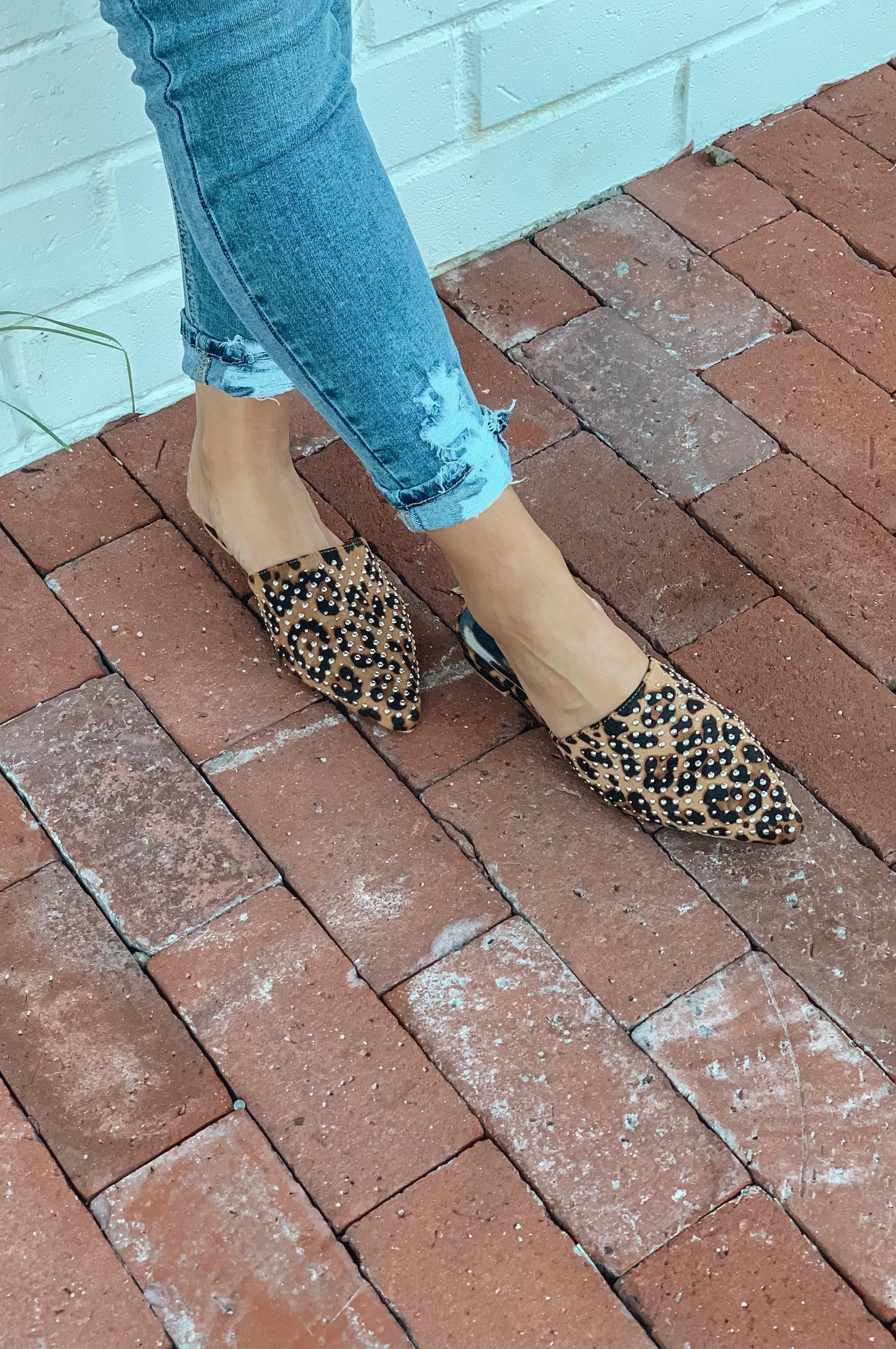 Be Fabulous Leopard Mule