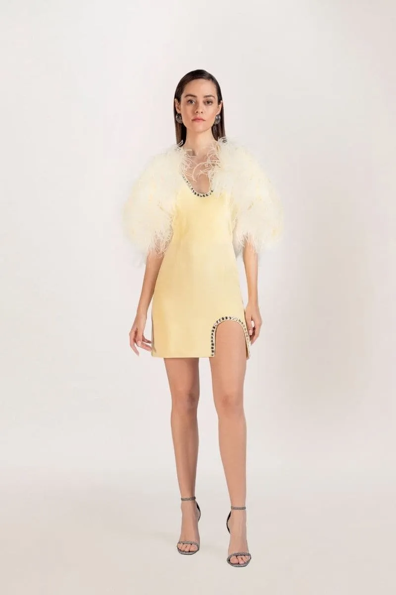 BELLA SILK FEATHER-TRIMMED MINI DRESS