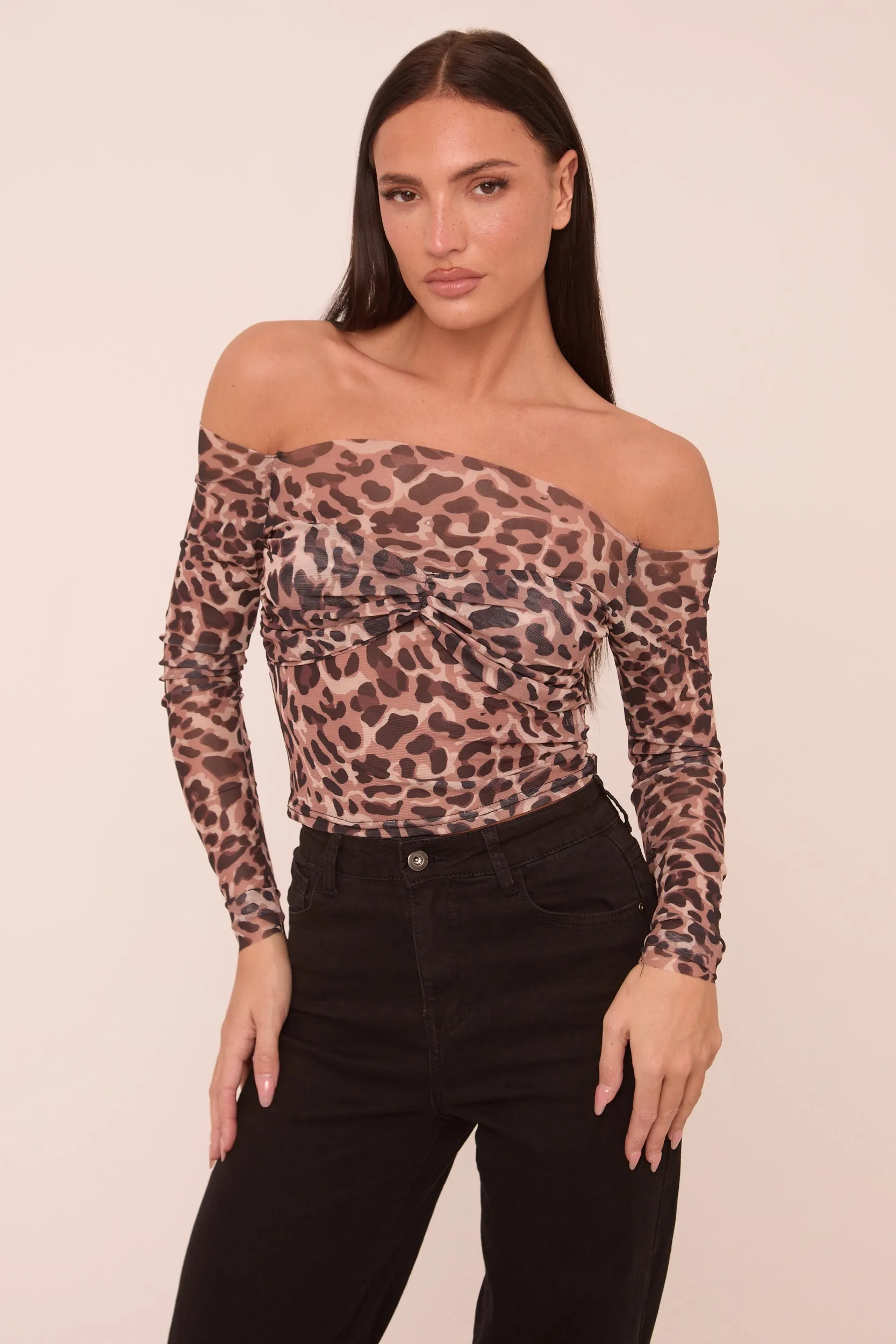 Brown Leopard Print Mesh Bardot Long Sleeves Cropped Top - Mahalie